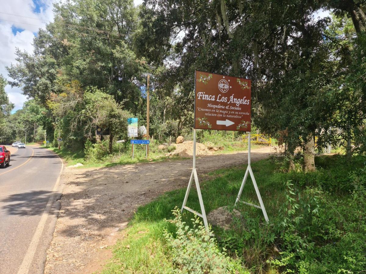 Finca Los Angeles Hospederia & Sociales Huasca de Ocampo Εξωτερικό φωτογραφία
